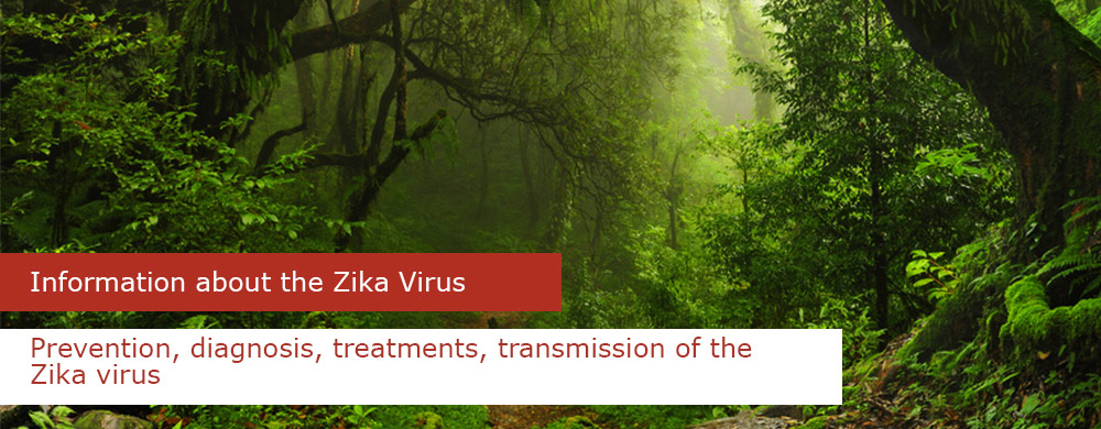 zika virus information prevention diagonis houston